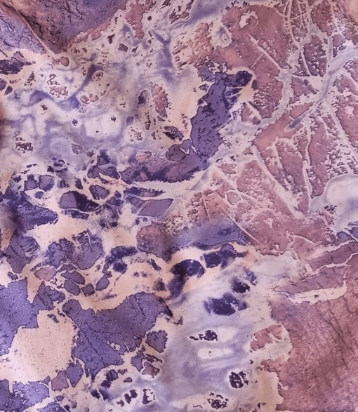 Brella Purple Rose Unisex Rain Jacket